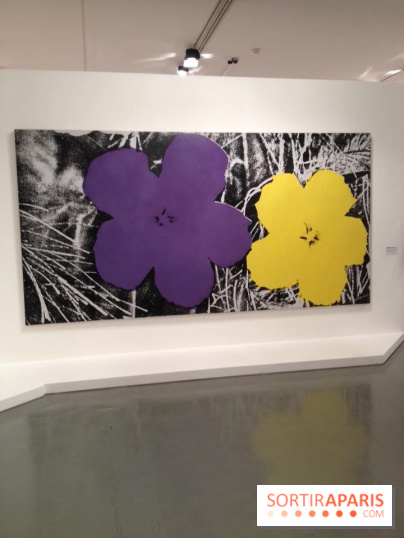 Andy Warhol au MAMVP