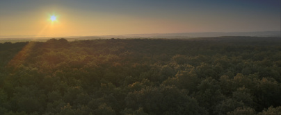 Les Saisons : critique et jeu concours