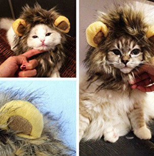 Cadeaux de Noël 2016 pour animaux : une crinière pour chat