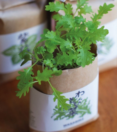 Fêtes des mères 2017 : un kit de plantes japonaises