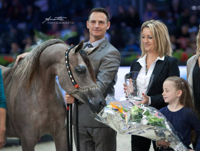 La 45ème édition du Salon du Cheval à Villepinte !
