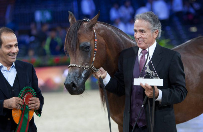 La 45ème édition du Salon du Cheval à Villepinte !
