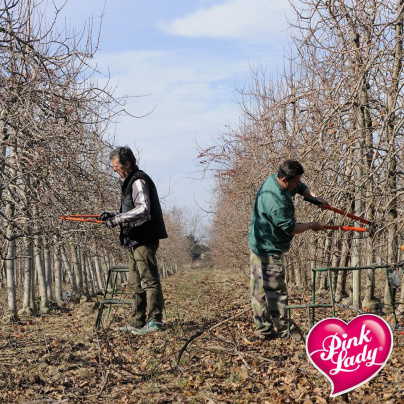 Pink Lady® au Salon de l'Agriculture : Gagnez vos places !