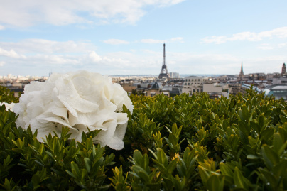 La demande en mariage qui ne ressemble à aucune autre