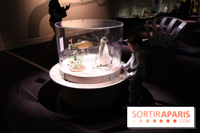 Exposition BéBés animaux à la Cité des Sciences, les photos