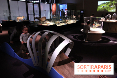 Exposition BéBés animaux à la Cité des Sciences, les photos