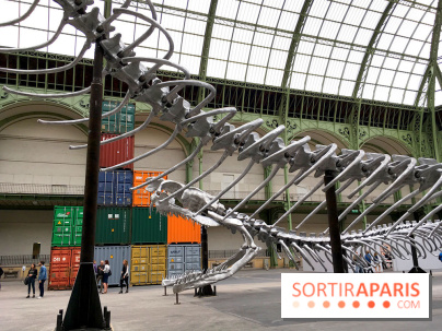 Monumenta 2016 au Grand Palais