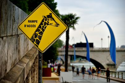 Le parc zoologique de Paris s'invite à Paris Plages