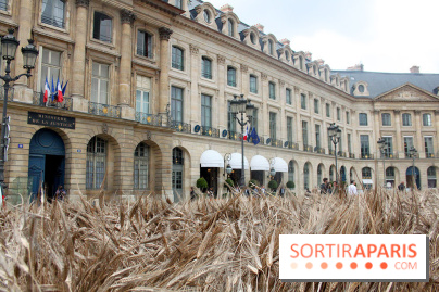 Gad Weil installe son Champ de Blés Place Vendôme