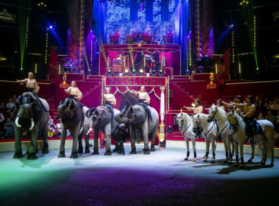 Surprise au Cirque d'Hiver, les photos