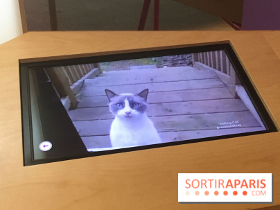 Viral, l'expo au Palais de la Découverte