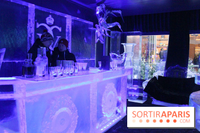 Ice lounge experience au George V