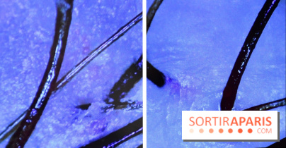 Le Head-Spa japonais by Pop my curls - Avant/Après