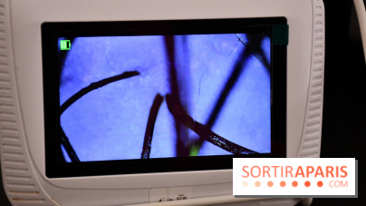 Le Head-Spa by Pop my curls, un head-spa japonais adapté aux cheveux bouclés et locks près de Paris