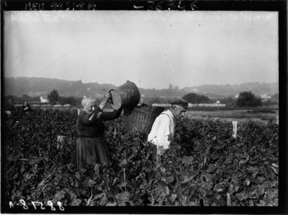 Cette ville aux portes de Paris était autrefois l'un des vignobles les plus prolifiques de la région !