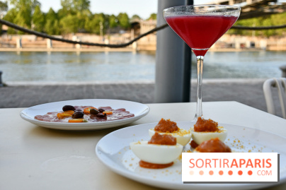 Entrées plat/form quai de seine terrasse 2026