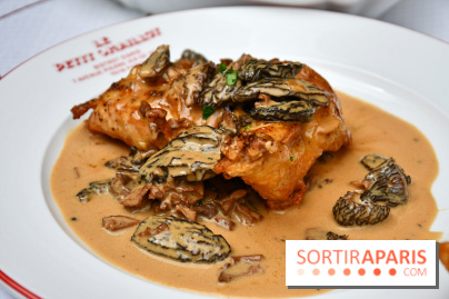 Le Petit Chaillot : un bistrot typique et gourmand à deux pas du musée de L’homme et du palais Galliera
