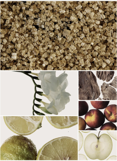 Alchemist Atelier : créez vos parfums sur-mesure à Paris