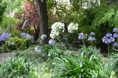 Le Musée Clemenceau : un lieu historique méconnu à Paris