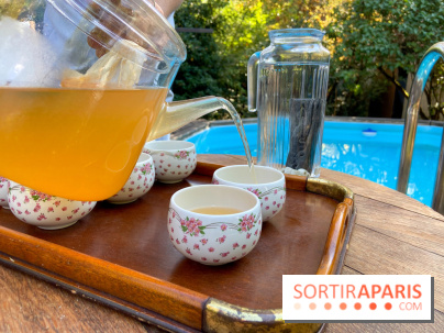 La Maison des Marronniers un lieu de retraite yoga idyllique et gourmand à portée de navigo