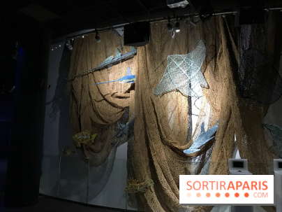 Les récifs Coralliens s'exposent à l'Aquarium de Paris