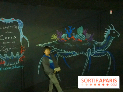 Les récifs Coraliens s'exposent à l'Aquarium de Paris