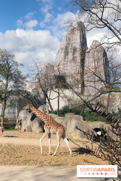 Zoo de Vincennes, Parc Zoologique de Paris 2017