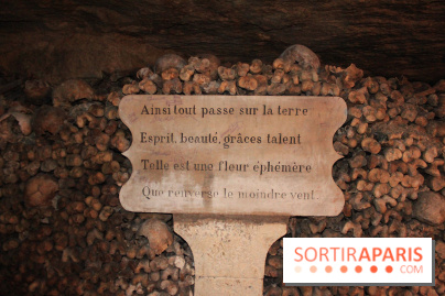 Les Catacombes de Paris