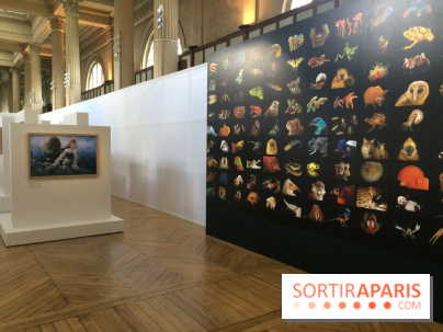 National Geographic s'expose au MNHA : nos images de l'expo