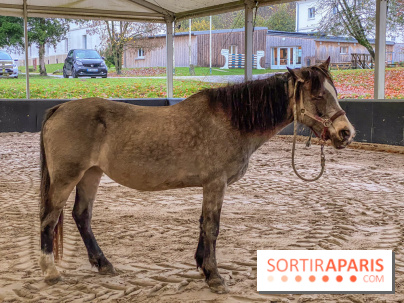 Domaine de Maffliers : notre test de l'escapade champêtre et équestre by Demeures de Campagne
