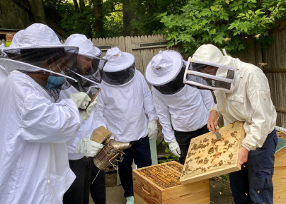 Ateliers d'initiation à l'apiculture durable aux Ruches Villette