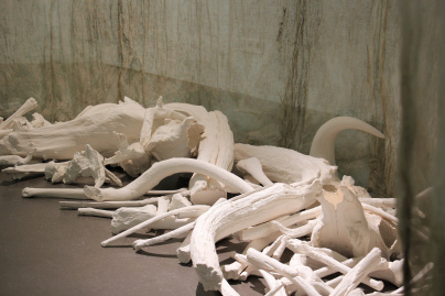 Récits de forêts : l’exposition de Lélia Demoisy au Domaine de Chamarande