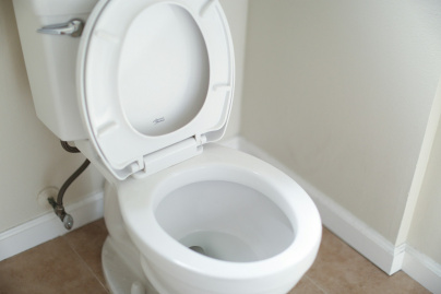 Caca, une histoire sérieuse : l’expo qui parle enfin toilettes à la Cité des sciences