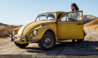 Bumblebee: Criticism and criticism