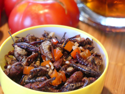 Un week-end au musée, animations gratuites au Musée de l'Homme