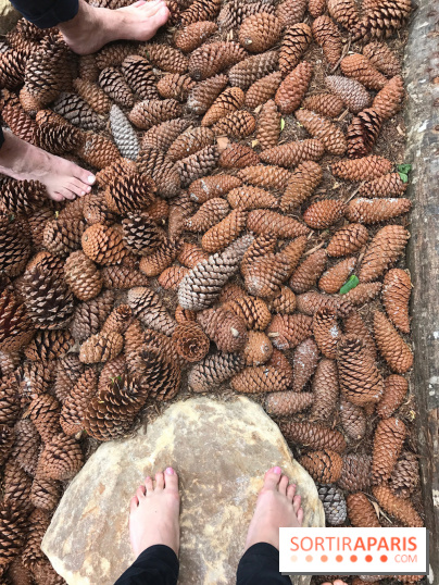 Le Parcours Biodiversité du Parc Zoologique de Paris