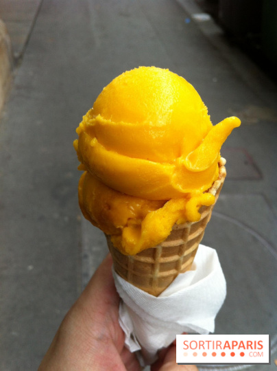 Bac à Glace, Sorbet Mangue