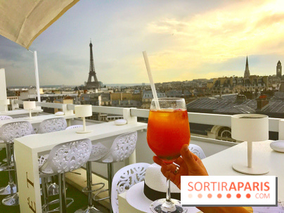 Le rooftop de l'Hôtel Marignan