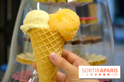 Les glaces chez Le Roy René