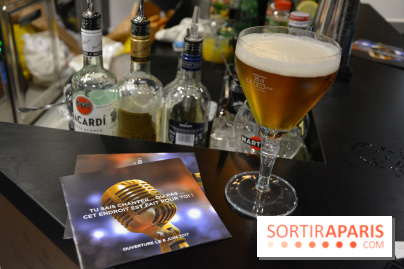 VIK Karaoké Saint Michel