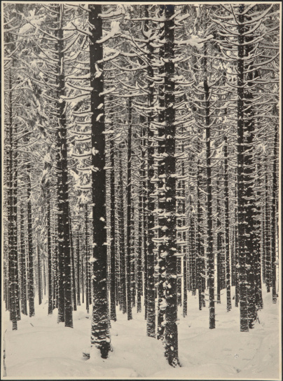 Jeu de Paume hiver 2017