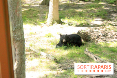 Camion Safari : une visite guidée dans les coulisses de Thoiry