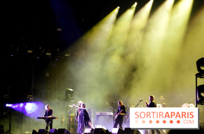 Rock En Seine 2017 : PJ Harvey