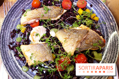 Les Fous de l'île : dorade royale