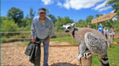 Zoo de Thoiry et ses nouveautés 2018