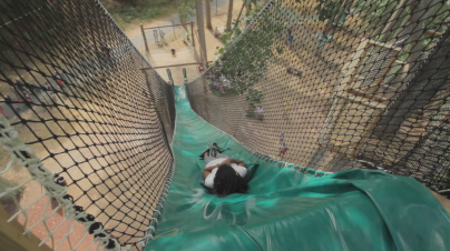 Xtrem Aventures à la base de loisirs de Cergy Pontoise