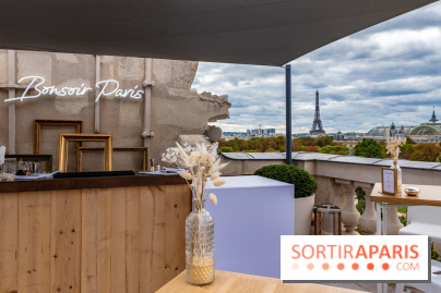 Le rooftop confidentiel de l'Hôtel de Crillon,