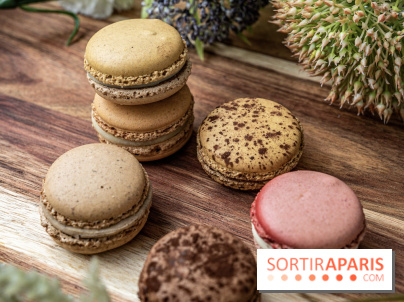 Pierre Hermé Macaron