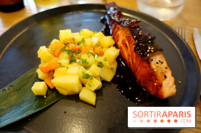 Ao Izakaya : restaurant franco-japonais à Paris