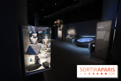 Exposition Météorites au Muséum national d'Histoire naturelle, les photos